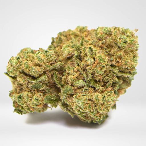 Amnesia Haze – THC 19%